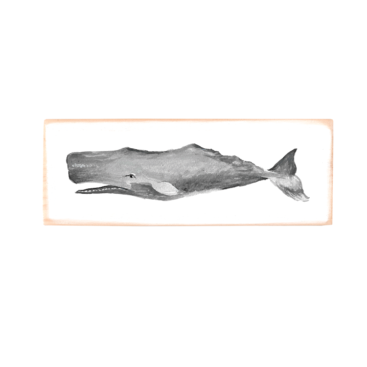 sperm whale rectangle wood block