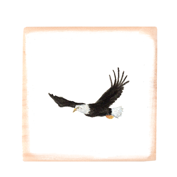 eagle in flight square wood block