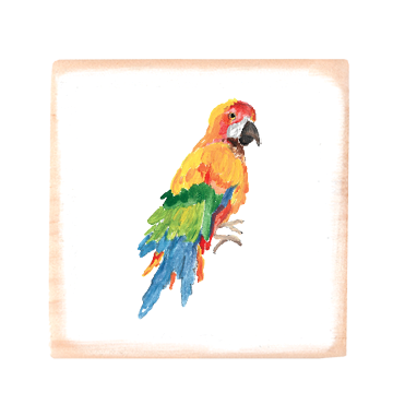 parrot square wood block
