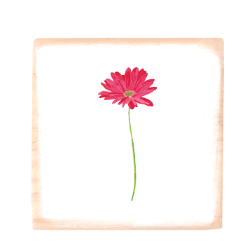 pink gerber daisy square wood block