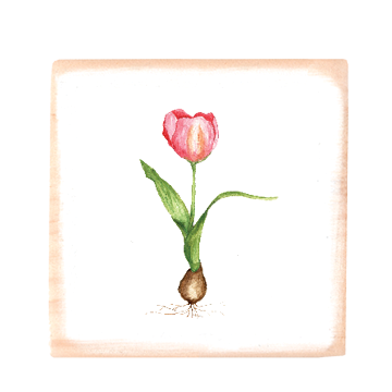 tulip square wood block