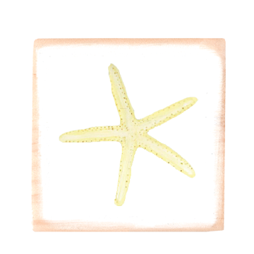 starfish square wood block